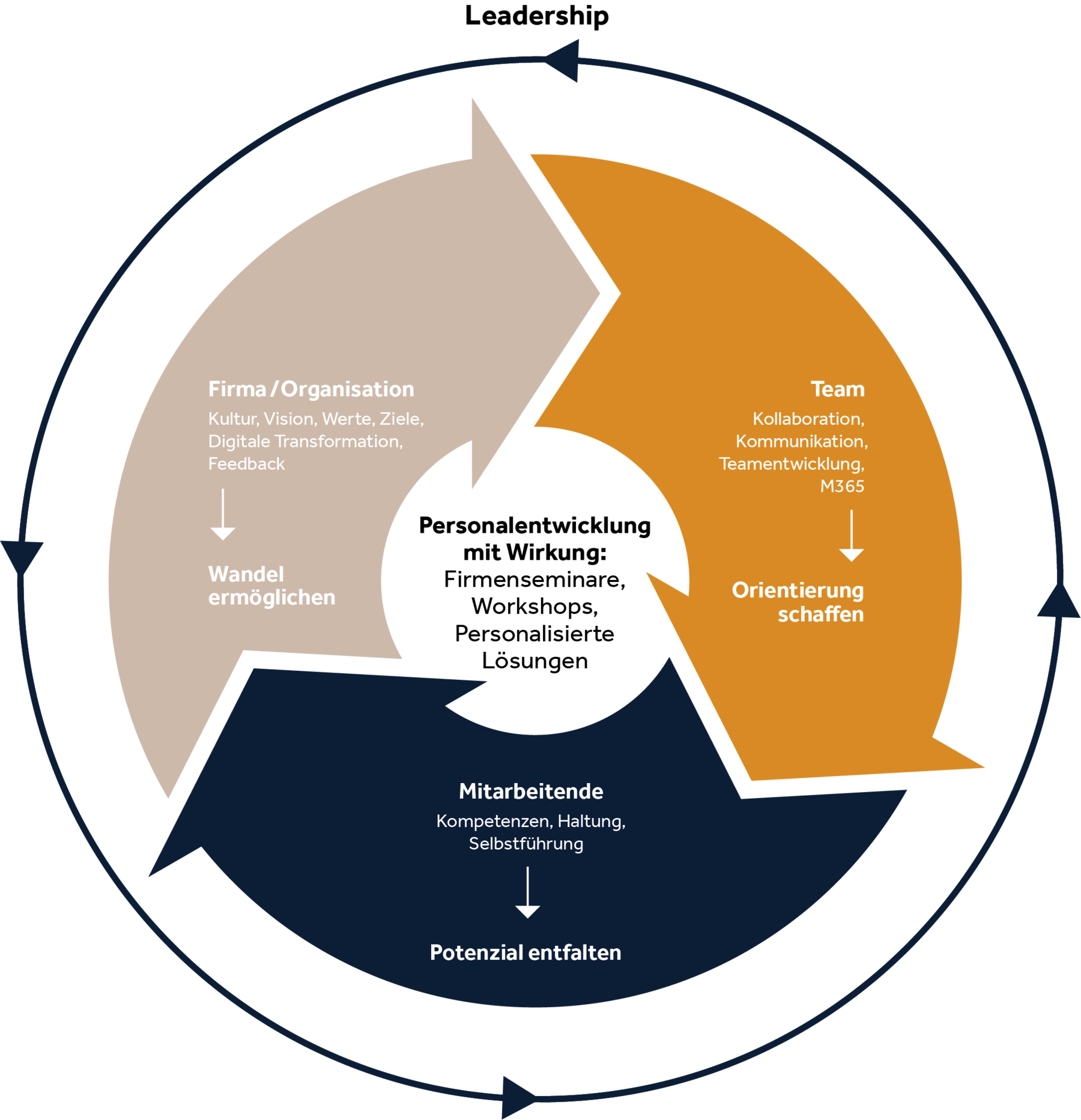 Lifecycle Personalentwicklung